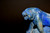 Lapis Lazuli Tiger Statue Paperweight