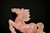 Rose Quartz Horse