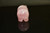 Rose Quartz Bear
