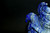 Lapis Eagle