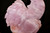 Rose Quartz Rooster