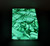 Malachite Box Butterfly