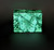 Malachite Box Butterfly