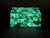 Malachite Box Butterfly