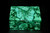 Malachite Box Butterfly