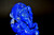 Lapis Ganesha Finest