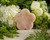 Strawberry Rock Crystal Peach Blossom Plate