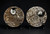 Pair Ammonite Plates 4.5" Brown