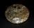 Pair Ammonite Plates 4.5" Brown