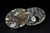 Pair Ammonite Plates 4.5" Black