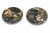Pair Large Ammonite Plates 6.25"