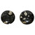 Pair Large Ammonite Plates Black White 6.25"