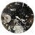 Large Ammonite Plate 6.25"