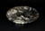 Large Ammonite Plate 6.25"