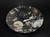 Large Ammonite Plate 6.25"