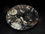 Large Ammonite Plate 6.25"