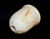 Vintage Italian Alabaster Lamp Shade