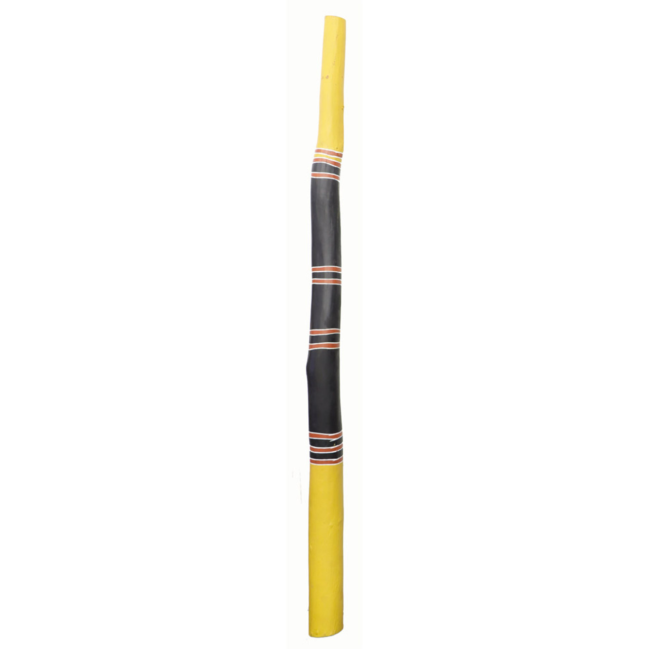 Didgeridoo for sale near me best sale