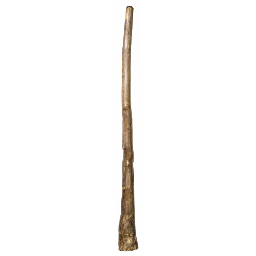 Large Fiorino Agave Didgeridoo (8160) | Buy Online - Worldwide Shipping