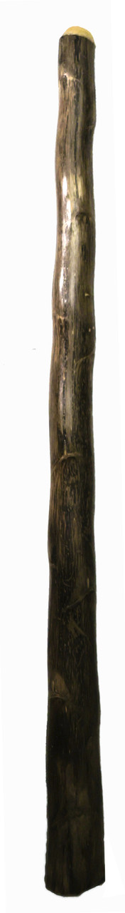 Fiorino Agave Didgeridoo (8626) | Buy Online - Worldwide Shipping