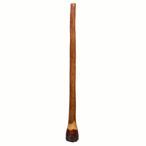 Large Jabiru Ironbark Didgeridoo Didgeridoo (6623)