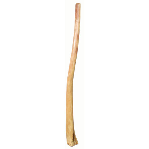 Large Earl Clements Didgeridoo (7638)