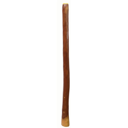 Small Gloss Finish Didgeridoo (7740)