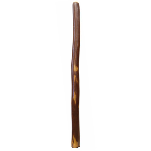 Large Gloss Finish Didgeridoo (7818)