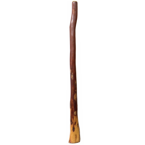Large Gloss Finish Didgeridoo (7833)