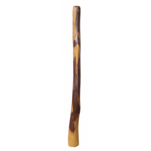 Small Gloss Finish Didgeridoo (7843)