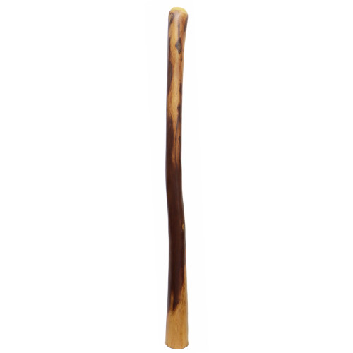 Large Gloss Finish Didgeridoo (7901)