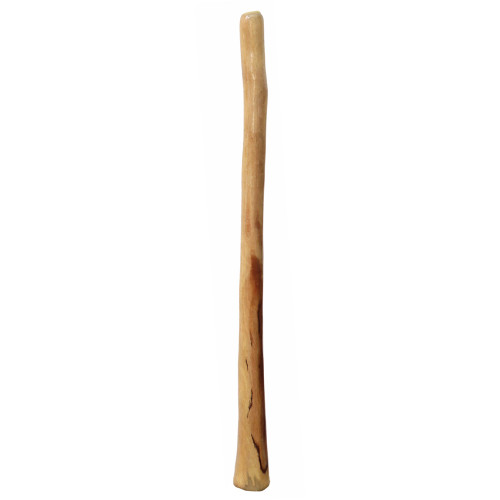 Medium Gloss Finish Didgeridoo (7923)