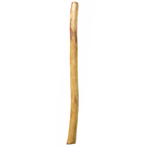 Small Gloss Finish Didgeridoo (8075)