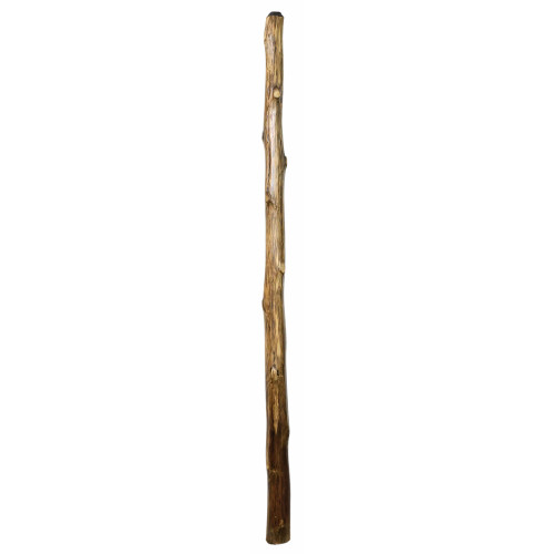Large Fiorino Agave Didgeridoo (8161)