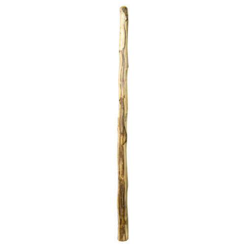Agave Didgeridoo (8168) Key of G#