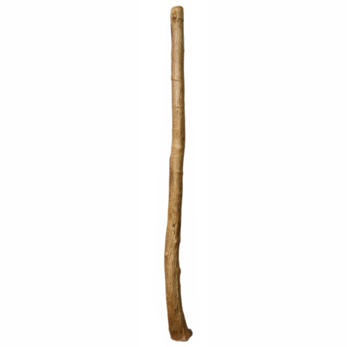 Wandoo Didgeridoo(8285)