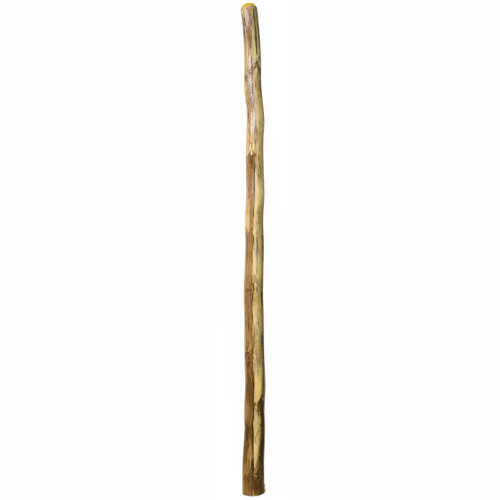 Large Agave Fiorino Didgeridoo (8310) - Key of A