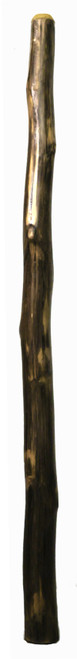Copy of Agave Didgeridoo (8628) - Key of C# Copy of Agave Didgeridoo (8628) - Key of C#