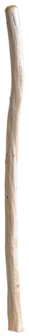 Darren Button Didgeridoo (8664) Key of B flat Darren Button Didgeridoo (8664) Key of B flat