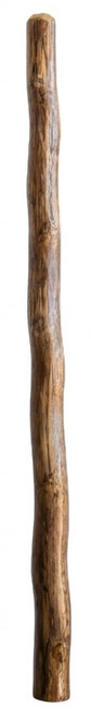 Fiorino Agave Didgeridoo (8693) - Key of B