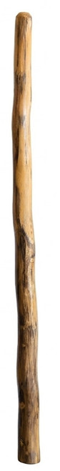 Fiorino Agave Didgeridoo (8694) - Key of Bb