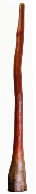 Earl Clements Didgeridoo (8789) Key of C