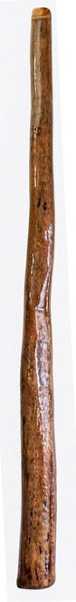 Earl Clements Didgeridoo (8795) Key of C