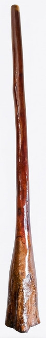 Earl Clements Didgeridoo (8796) Key of D