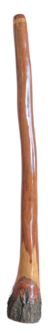 Santo Didgeridoo(8869) Key of C#
