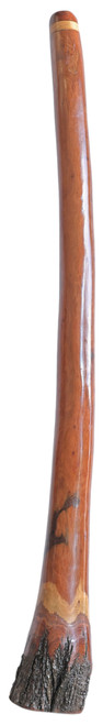 Santo Didgeridoo(8870) Key of C#