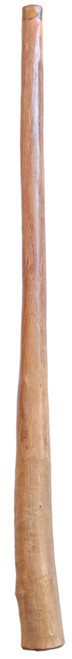 Earl Clements Didgeridoo (8883) Key of D