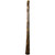 Large Agave Didgeridoo (8164)