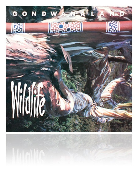 Gondwanaland (Charlie McMahon) 'Wildlife' Didgeridoo Music MP3 Download