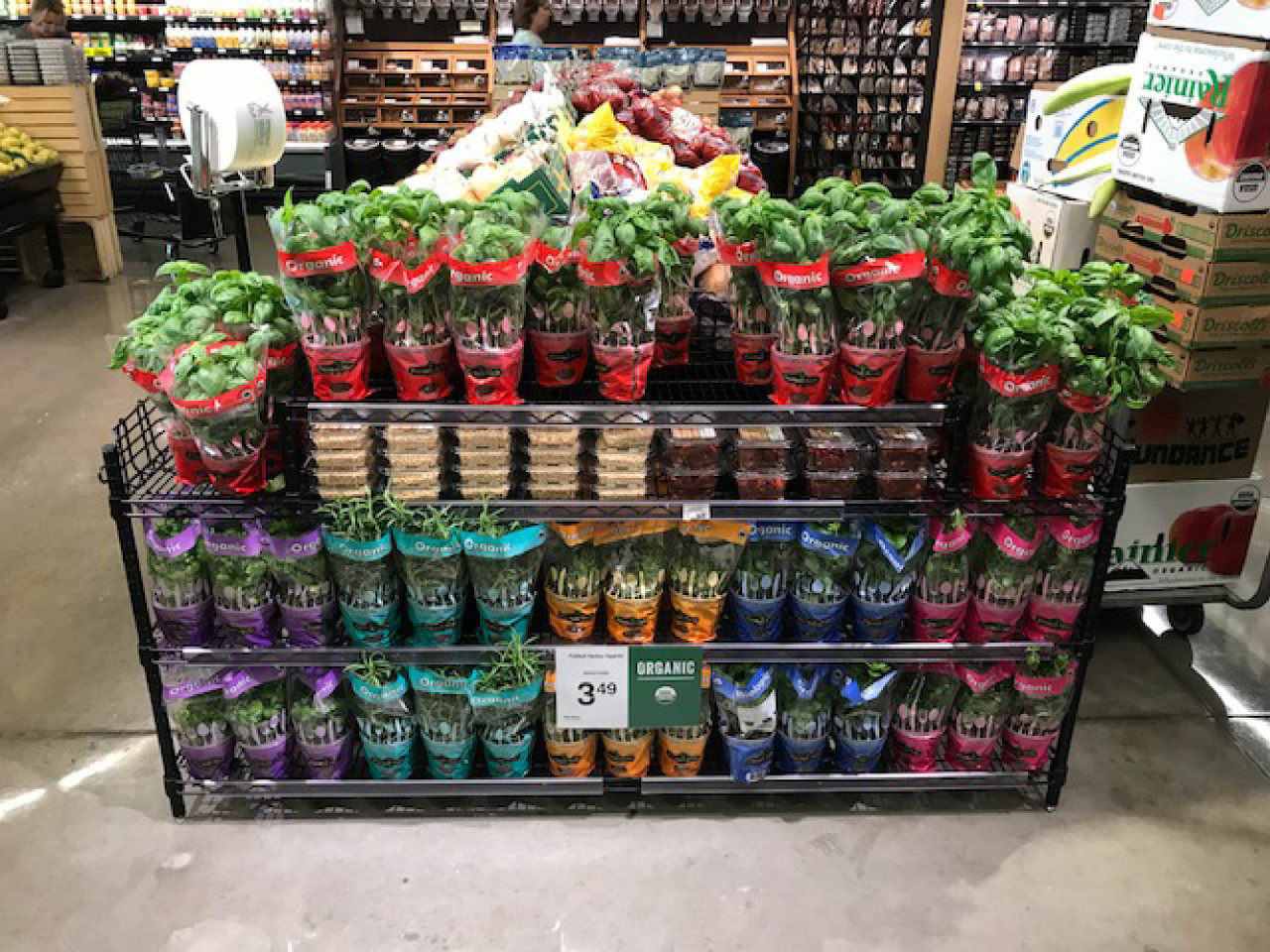 Custom Grocery Storage Rack 